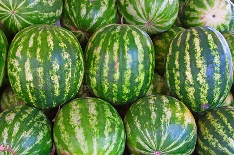 bigmelons|Popular Categories